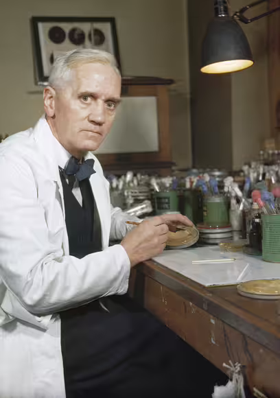 Alexander Fleming at work in his laboratory at St Mary’s Hospital, London, in 1943, fifteen years after his discovery of penicillin.